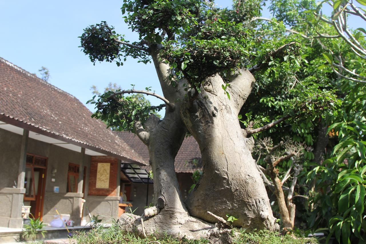 Hotel Jerogadung House Ubud Zewnętrze zdjęcie